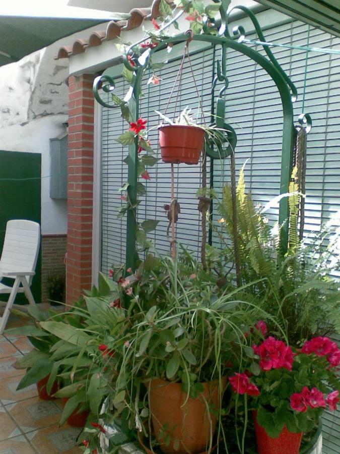 Casa Perin - Hostal Rural Villafranca de los Barros Exterior photo